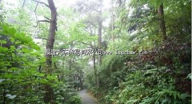 ��ɽ�羰��