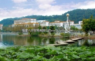 ����ũ�ִ�ѧ