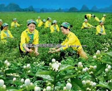 �������򻨲��Ļ�����԰