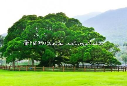 .福州国家森林公园