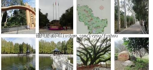 .福州国家森林公园珍稀植物园