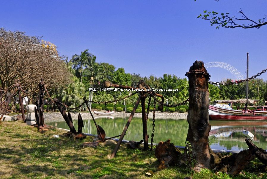 ���⽻ͨʷ�����