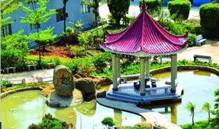 �����Ĳ�԰