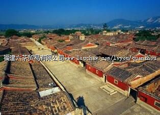 ���Ϲ���ӽ���Ⱥ