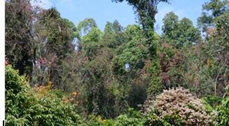 �ϰ��ɶ���