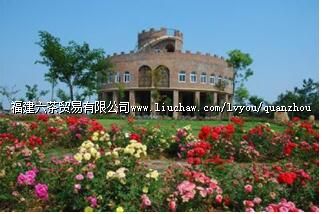 �ϰ��������