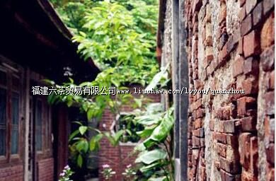 ����ƽ���