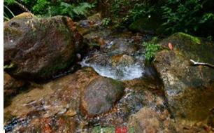 ��Ϫ����ɭ�ֹ�԰