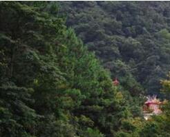 ����ɽ��綴