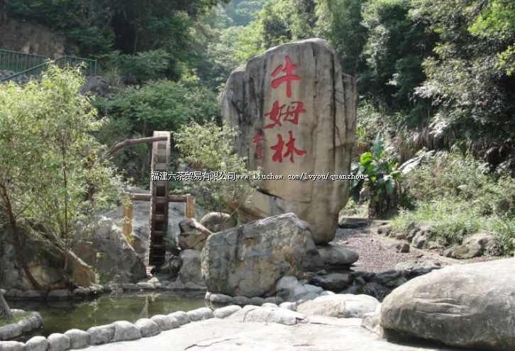 ţķ����̬������