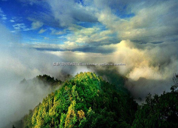 ţķ����̬������