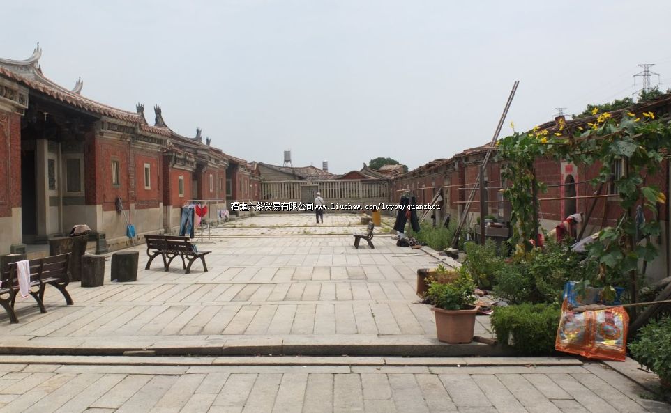 ���Ϲ����