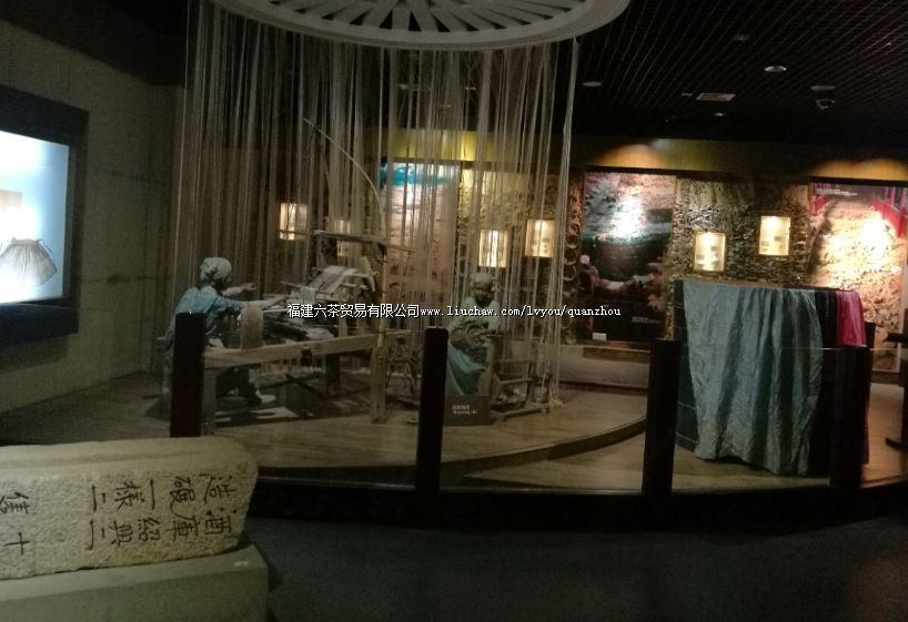 Ȫ�ݲ���ݡ�