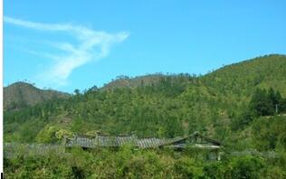 德化国宝云龙谷水利风景区