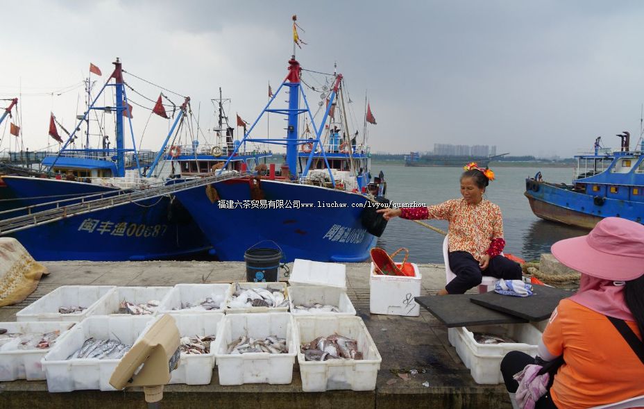 蟳埔村、 蟳埔村、