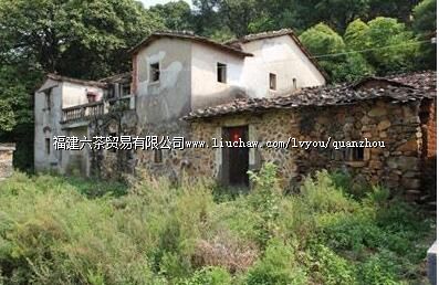 �й��ݰ���֧���ε������վ��ַ