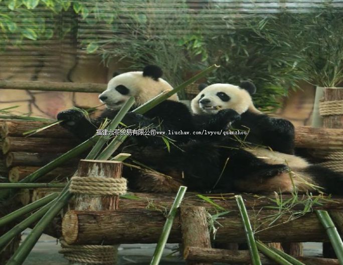 Ȫ�ݺ�˿Ұ����������