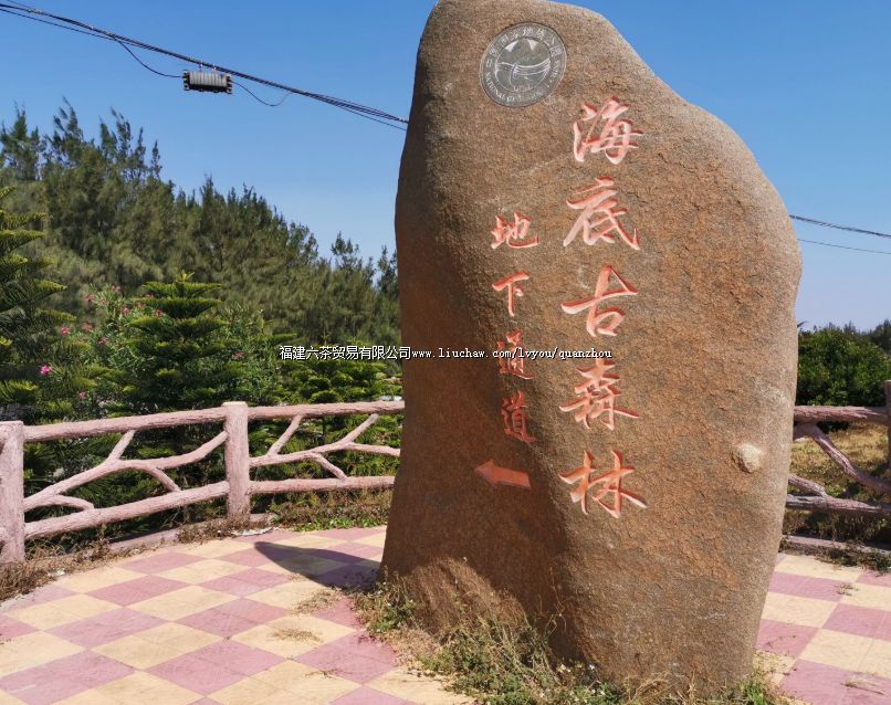 ��庣�׹�ɭ���ż���Ȼ������