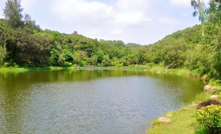 Ȫ��ɭ�ֹ�԰.