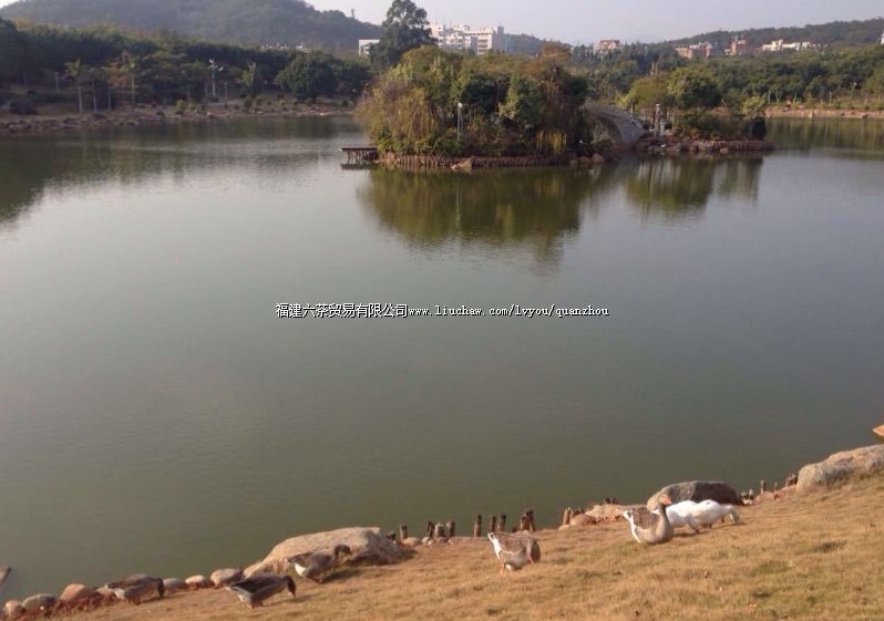 Ȫ��ɭ�ֹ�԰.