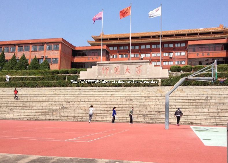 ������ѧ.