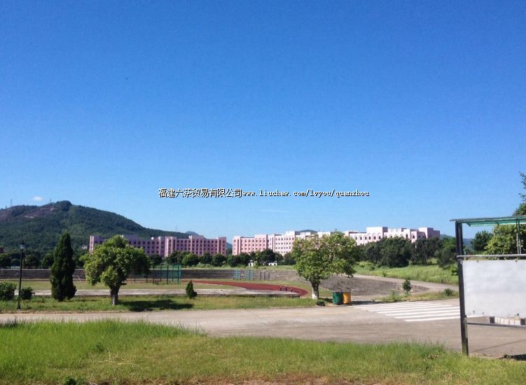 ������ѧ.