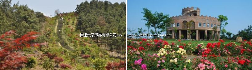 �ϰ��������.