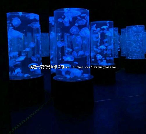 �����пƼ���