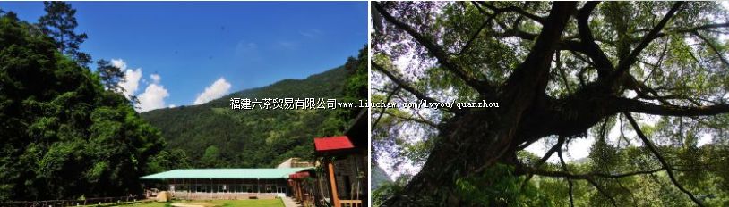 ��Ϫ��项ȷ羰��