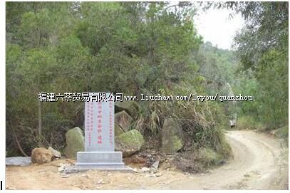 �����й����е�ί������ַ