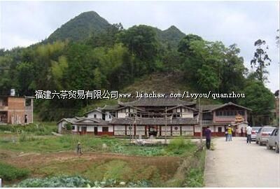 �����ҡ������ľ�ҽ������ַ