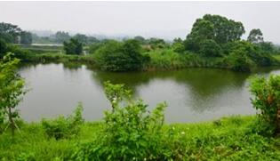 永春桃溪国家湿地公园