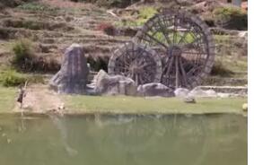 德化国宝云龙谷.