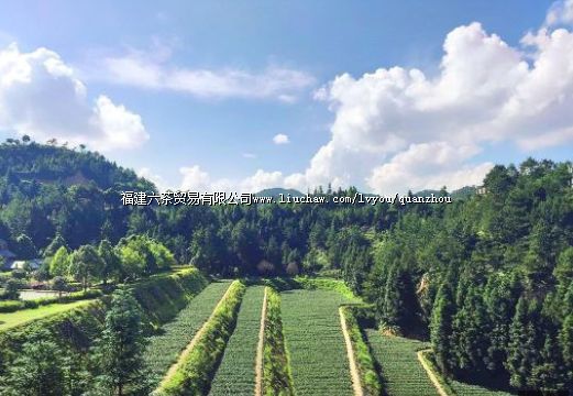 ����Է��̬��ׯ԰