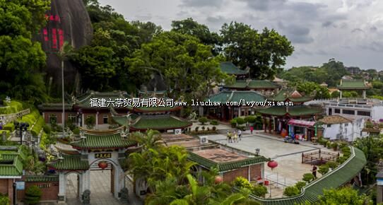 �չ�����