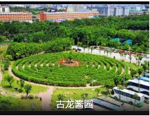 自驾同安休闲旅游自驾2天1 夜游