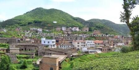 厦门低调的古村落,藏着绝美景色,趁着春天一定要每个都去一遍!