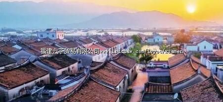 见过了这些,才说来过厦门