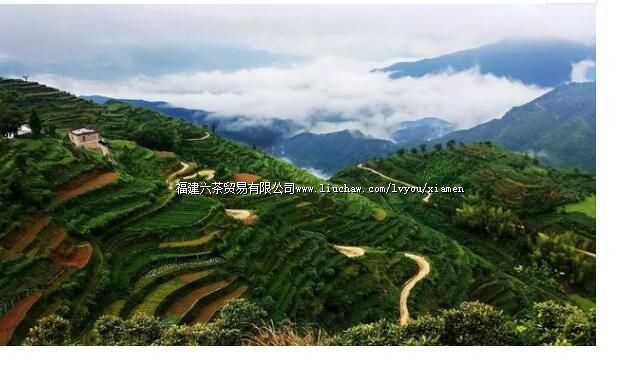 ���ž�Ȼ����һ����կ������Ҫ�Ĵ����������֮�ã����ﶼ�У�