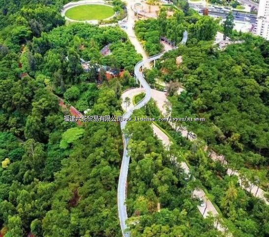 ���Ž�������ȫ�������ͨ���ο������������ֶ��˸��򿨵㣡