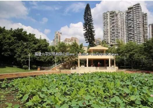 这些藏在厦门“莲花坞”里的市井美味,错过就是遗憾!