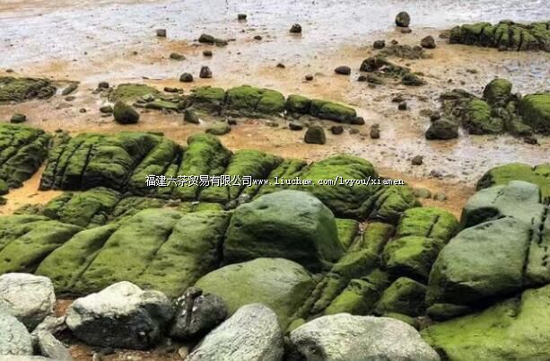 有趣!厦门有处陆上“海底世界”,周末约起~