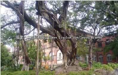 ����·�Ͻ���