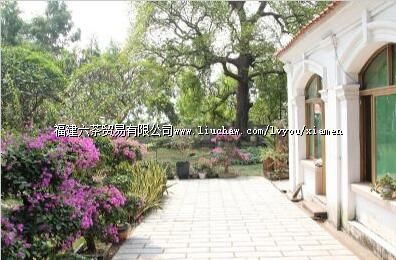 ������Ӣ��פ�������¹ݹ�ۡ