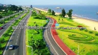 ����·�۹���