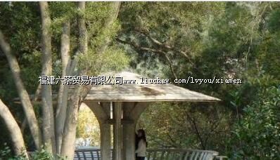 ������ѧ��ѧ��