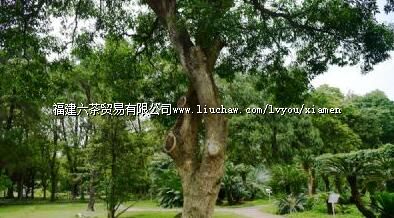 澎湖阵亡将士祠碑