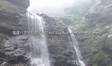 ���Ű�¹����