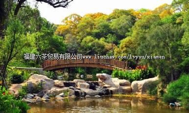 �ô����˹�