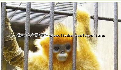 ���ź�����ϡ������Ȼ������